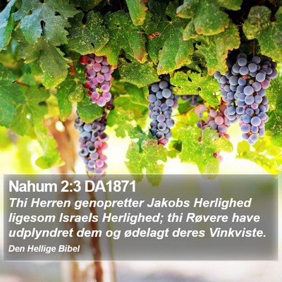 Nahum 2:3 DA1871 Bible Verse Image