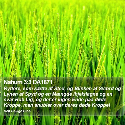 Nahum 3:3 DA1871 Bible Verse Image