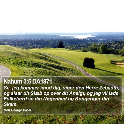 Nahum 3:5 DA1871 Bible Verse Image