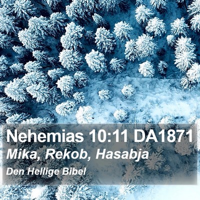 Nehemias 10:11 DA1871 Bible Verse Image