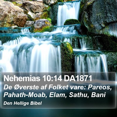 Nehemias 10:14 DA1871 Bible Verse Image