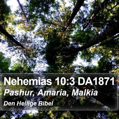 Nehemias 10:3 DA1871 Bible Verse Image