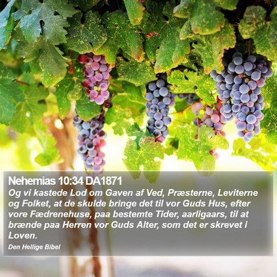 Nehemias 10:34 DA1871 Bible Verse Image