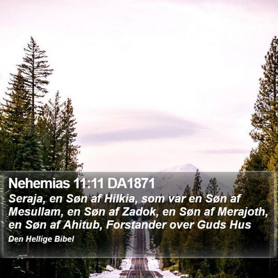 Nehemias 11:11 DA1871 Bible Verse Image