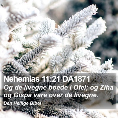 Nehemias 11:21 DA1871 Bible Verse Image