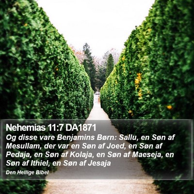 Nehemias 11:7 DA1871 Bible Verse Image