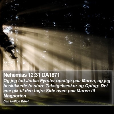 Nehemias 12:31 DA1871 Bible Verse Image