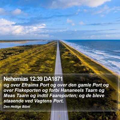Nehemias 12:39 DA1871 Bible Verse Image