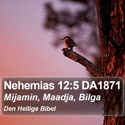 Nehemias 12:5 DA1871 Bible Verse Image