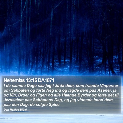 Nehemias 13:15 DA1871 Bible Verse Image