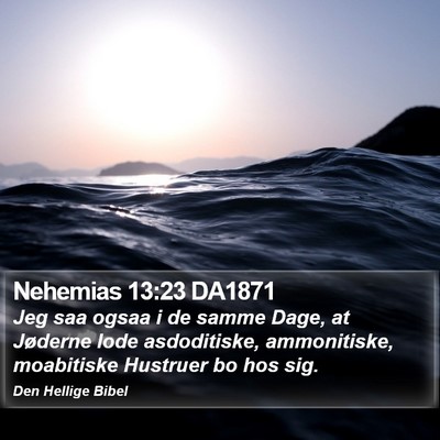 Nehemias 13:23 DA1871 Bible Verse Image