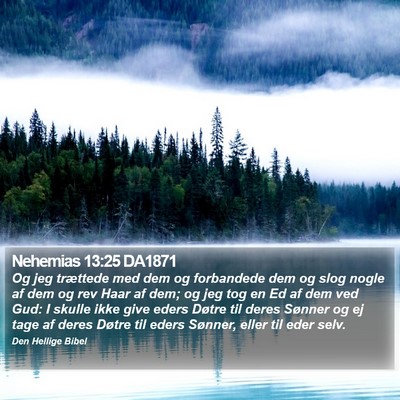 Nehemias 13:25 DA1871 Bible Verse Image