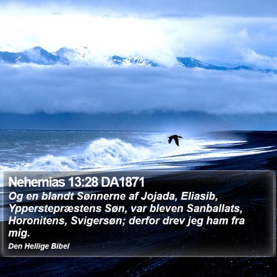 Nehemias 13:28 DA1871 Bible Verse Image