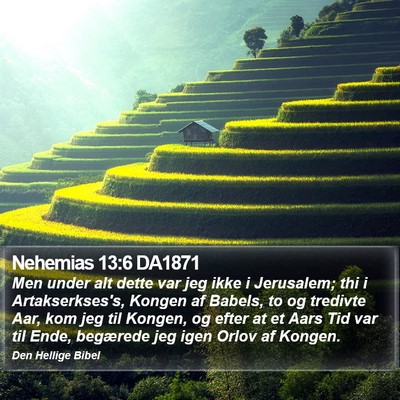 Nehemias 13:6 DA1871 Bible Verse Image