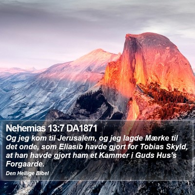 Nehemias 13:7 DA1871 Bible Verse Image