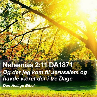 Nehemias 2:11 DA1871 Bible Verse Image