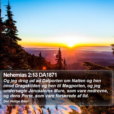 Nehemias 2:13 DA1871 Bible Verse Image