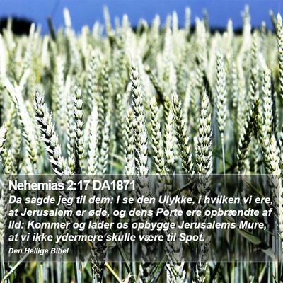 Nehemias 2:17 DA1871 Bible Verse Image