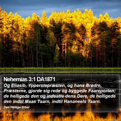 Nehemias 3:1 DA1871 Bible Verse Image