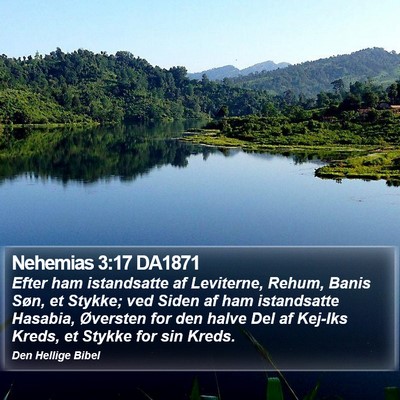 Nehemias 3:17 DA1871 Bible Verse Image