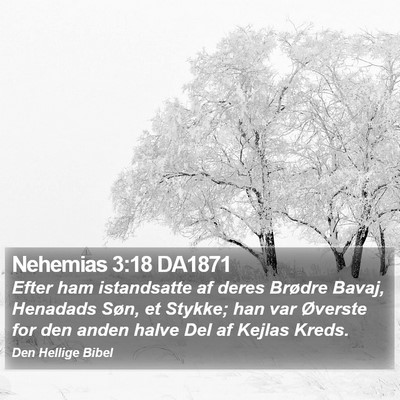 Nehemias 3:18 DA1871 Bible Verse Image