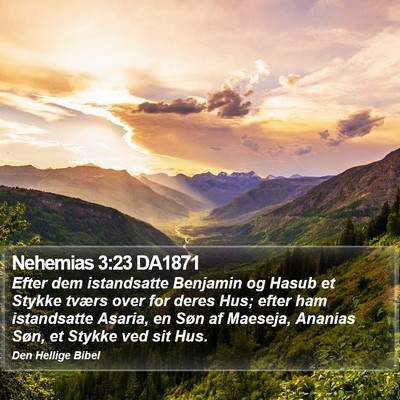 Nehemias 3:23 DA1871 Bible Verse Image