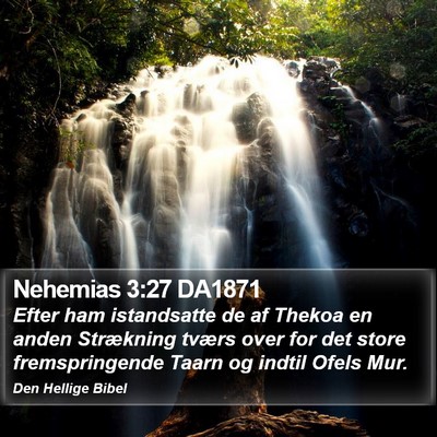 Nehemias 3:27 DA1871 Bible Verse Image