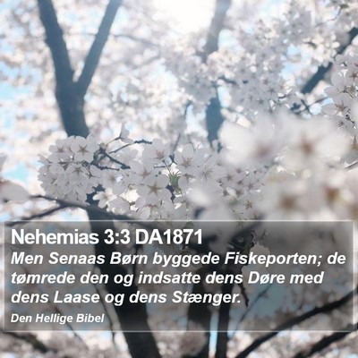 Nehemias 3:3 DA1871 Bible Verse Image