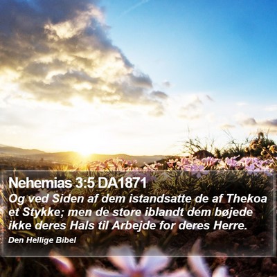 Nehemias 3:5 DA1871 Bible Verse Image
