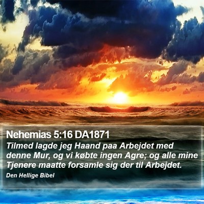 Nehemias 5:16 DA1871 Bible Verse Image