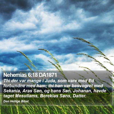 Nehemias 6:18 DA1871 Bible Verse Image