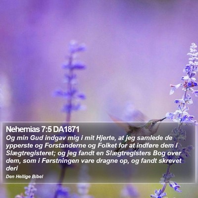 Nehemias 7:5 DA1871 Bible Verse Image