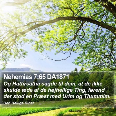 Nehemias 7:65 DA1871 Bible Verse Image