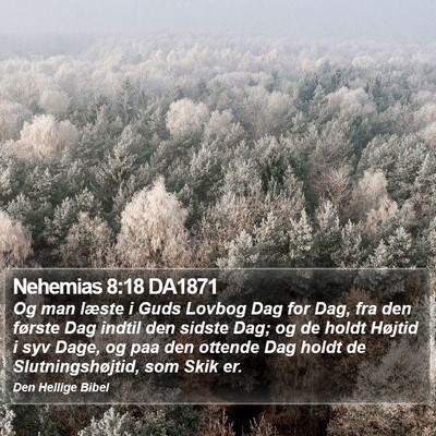 Nehemias 8:18 DA1871 Bible Verse Image