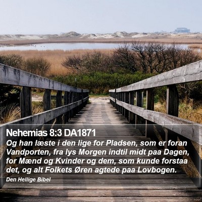 Nehemias 8:3 DA1871 Bible Verse Image