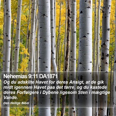 Nehemias 9:11 DA1871 Bible Verse Image
