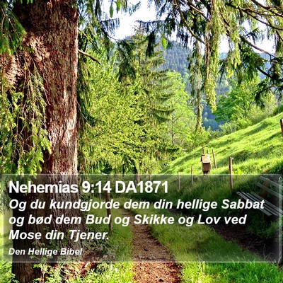 Nehemias 9:14 DA1871 Bible Verse Image