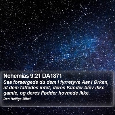 Nehemias 9:21 DA1871 Bible Verse Image