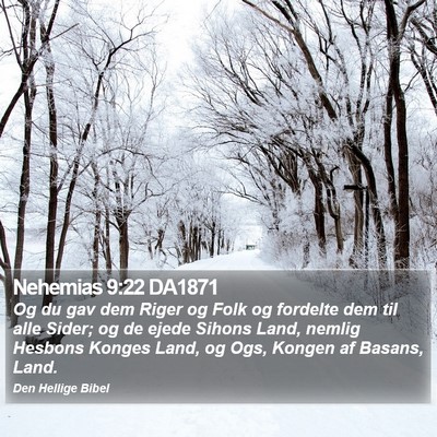 Nehemias 9:22 DA1871 Bible Verse Image