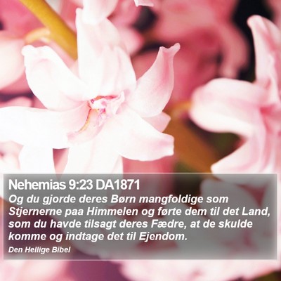 Nehemias 9:23 DA1871 Bible Verse Image