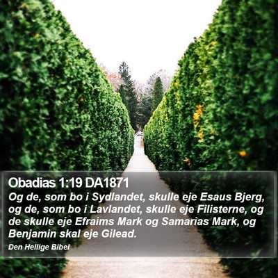 Obadias 1:19 DA1871 Bible Verse Image