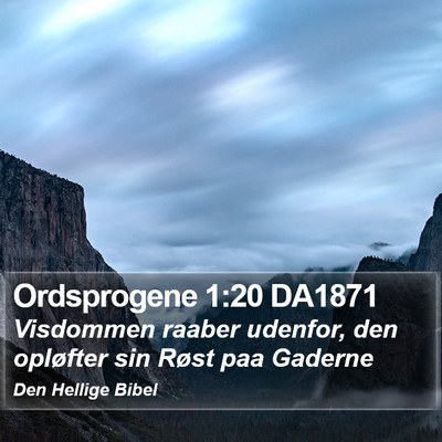 Ordsprogene 1:20 DA1871 Bible Verse Image