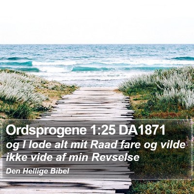 Ordsprogene 1:25 DA1871 Bible Verse Image