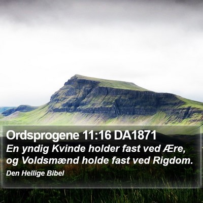 Ordsprogene 11:16 DA1871 Bible Verse Image
