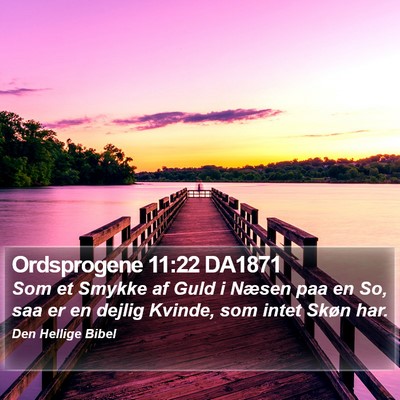 Ordsprogene 11:22 DA1871 Bible Verse Image