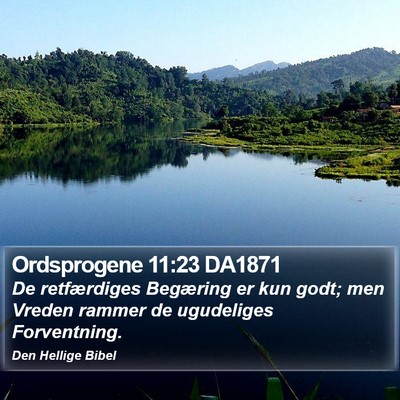 Ordsprogene 11:23 DA1871 Bible Verse Image