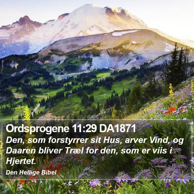 Ordsprogene 11:29 DA1871 Bible Verse Image