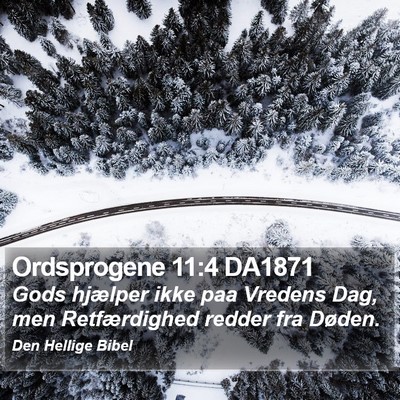 Ordsprogene 11:4 DA1871 Bible Verse Image