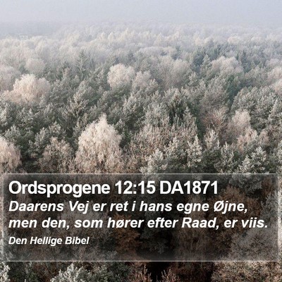 Ordsprogene 12:15 DA1871 Bible Verse Image