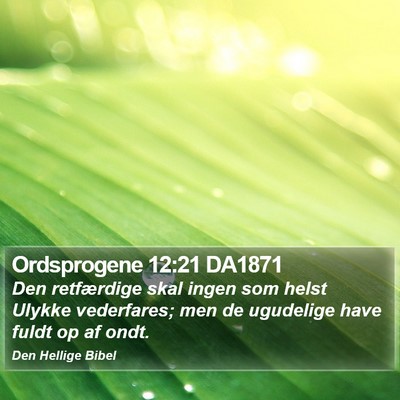 Ordsprogene 12:21 DA1871 Bible Verse Image